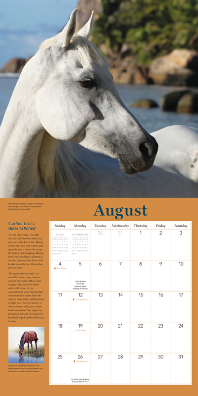2024 Calendar How to Think Lke a Horse by Cherry Hill