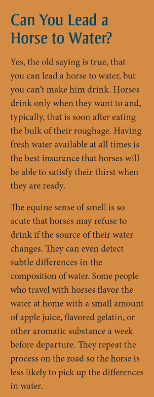 2024 Calendar How to Think Lke a Horse by Cherry Hill
