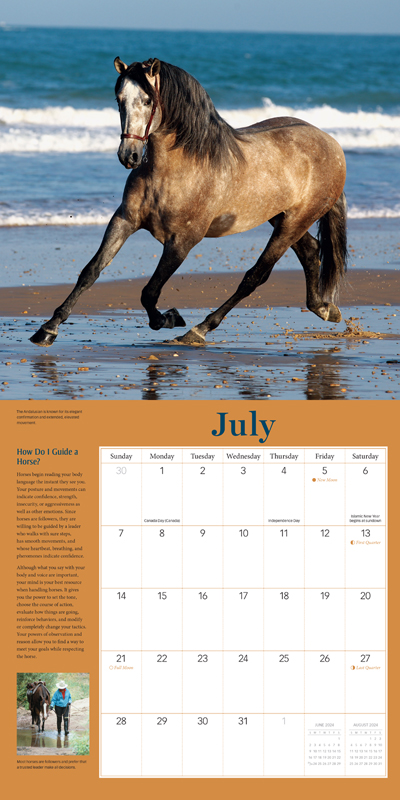 2024 Calendar How to Think Lke a Horse by Cherry Hill