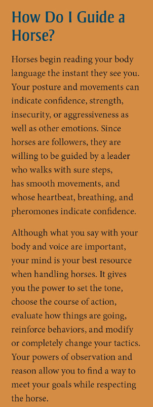 2024 Calendar How to Think Lke a Horse by Cherry Hill