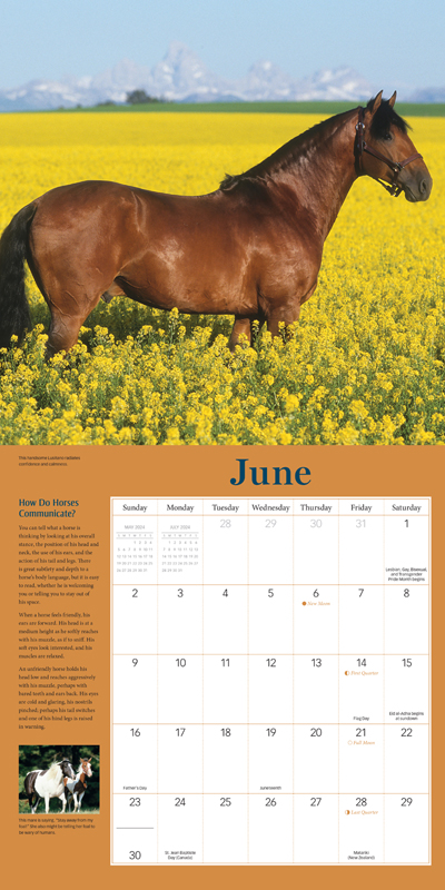 2024 Calendar How to Think Lke a Horse by Cherry Hill