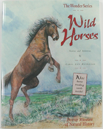 free paperback book, like new - Wild Horses Stories and Activities