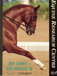 new paperback book - No Foot - No Horse II