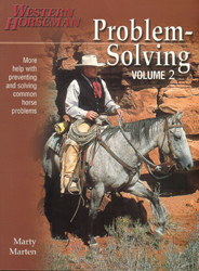 new paperback book - Problem Solving, Volume 2 by Marty Marten