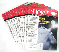 The Horse 2007-2008 - 10 issues 