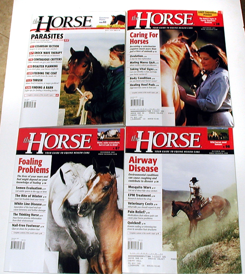 The Horse - vintage horse magazines from 2001