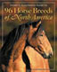 Used Horse Books
