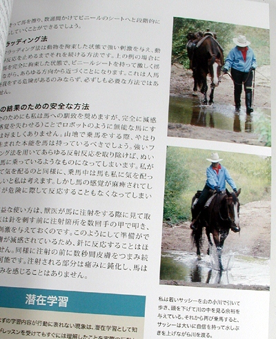 How to Think Lke a Horse by Cherry Hill - JapaneseTranslation