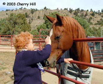 Horses are good therapy for people of all ages and levels of involvement.