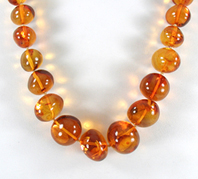 necklace of graduated Baltic amber pearls 27 inches long 