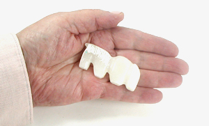 Zuni Horse Fetish Carving of alabaster by Brandon Phillips
