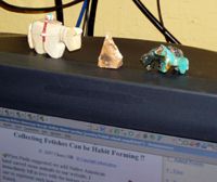 Horse carvings on computer