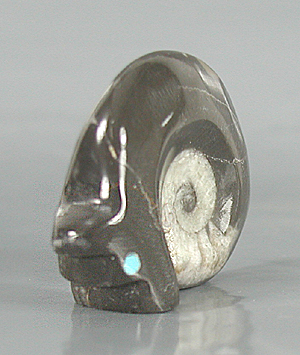 Authentic Native American Bear Fetish Carving of ammonite fossil and Turquoise by Zuni artisan Bernard Laiwakete