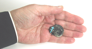 Authentic Native American Bear Fetish Carving of ammonite fossil and Turquoise by Zuni artisan Bernard Laiwakete