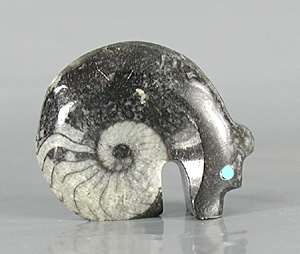Authentic Native American Bear Fetish Carving of ammonite fossil and Turquoise by Zuni artisan Bernard Laiwakete