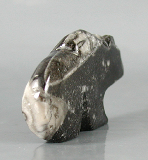 Authentic Native American Bear Fetish of orthocera by Zuni Kenric Laiwakete