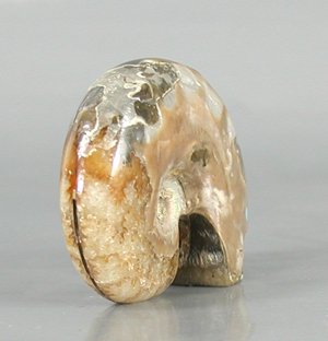 Authentic Native American Bear Fetish Carving of Ammolite fossil and Turquoise by Zuni artisan Bernard Laiwakete