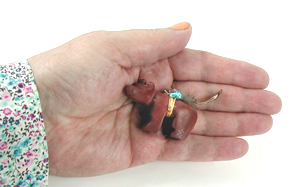 Authentic Native American bear fetish carving by Oglala Lakota artisan Delbert Charging Crow