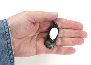 Authentic Native American Penguin fetish carving  by Zuni Calvert Bowannie of onyx and mother of pearl