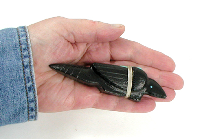 Zuni Raven fetish of jet by Herbert Halate
