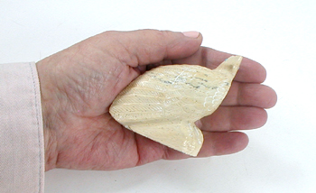 Zuni Eagle fetish of fishrock by Derrick Kaamasee