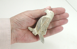 Zuni Eagle fetish of antler by Allison White