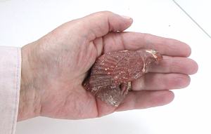 Zuni Eagle fetish of catlinite by Derrick Kaamasee