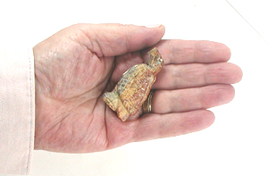 Zuni Eagle fetish of Picasso Marble by Scott Garnett