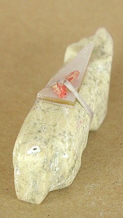 Authentic Native American Wolf Fetish carving of serpentine by Zuni Wilford Cachini