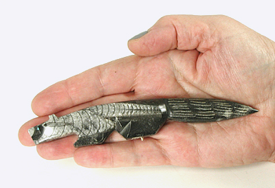 Authentic Native American wolf Fetish Carving from orthocera by Zuni Bernard Laiwakete