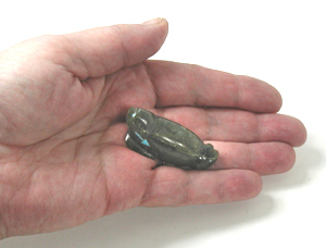 labradorite Beaver Fetish carving with turquoise eyes by Zuni artisan Abby Quam Panteah