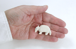 Authentic Native American fish rock armadillo fetish by Zuni artisan Chris Peina