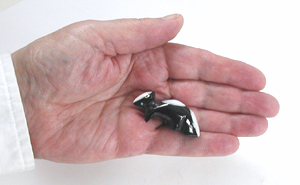 Authentic Native American skunk fetish by Zuni artisan Calvert Bowannie
