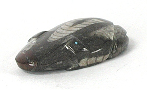 Authentic Native American Zuni orthocera frog  fetish carving by Clayton and Abby Quam Panteah