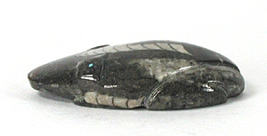 Authentic Native American Zuni orthocera frog  fetish carving by Clayton and Abby Quam Panteah