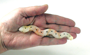 Snake Fetish Carving of onyx with inlaid jet eyes and power spots
