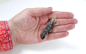 Authentic Native American rattlesnake Fetish Carving of Picasso marble with inlaid turquoise eyes and power spots by Zuni carver Danette Laate