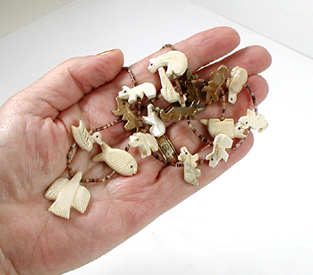 N727-animals-fossilivory-25-