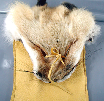 Authentic Native American Indian fringed buckskin medicine bag with Fox head by Lakota artisan Anita Brown
