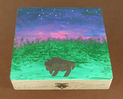 Authentic Native American Indian Box Art Jewelry and Treasure Box by Lakota artisan Morning Star Zephier