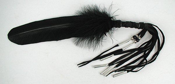 Authentic Lakota Crow Raven Smudge Feather