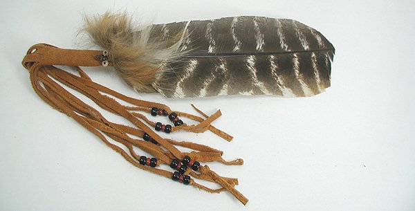 Smudge Fan Feather 