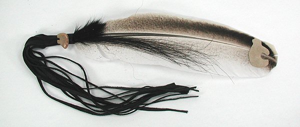 Smudge Fan Feather 