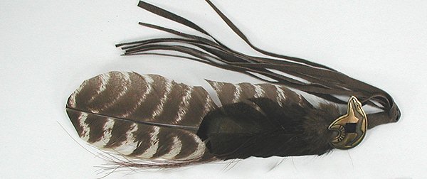 Smudge Fan Feather 