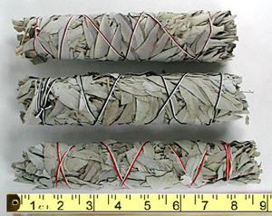 California white sage bundles