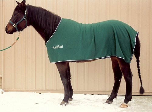 Horseware Ireland Cooler size 81