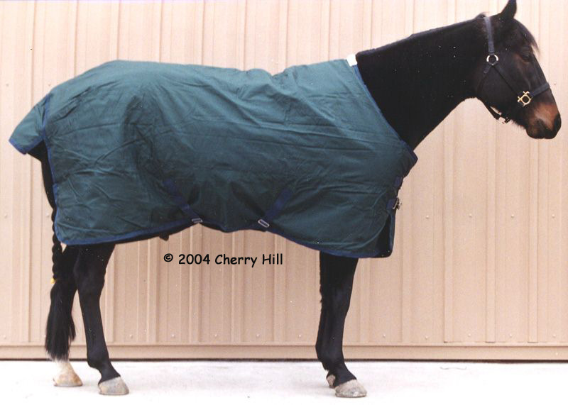 Horse Tack Riders International Supreme Turnout Blanket from Dover