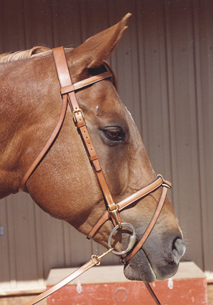 Dover Raised Clip Snaffle Bridle