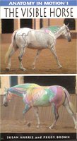 Susan Harris Visible Horse video